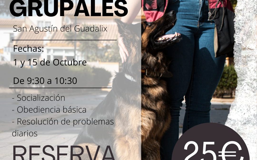 Cartel clases grupales octubre