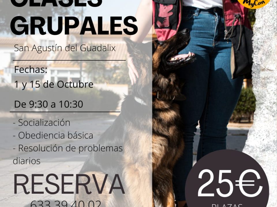 Cartel clases grupales octubre