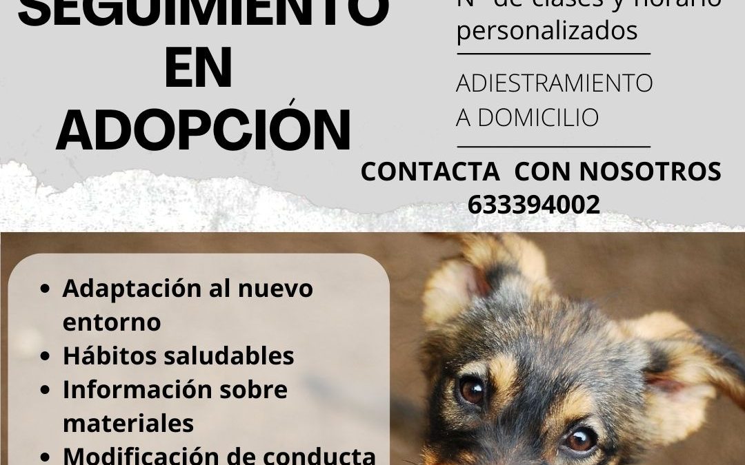 Cartel de seguimiento en adopción