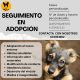 Cartel de seguimiento en adopción