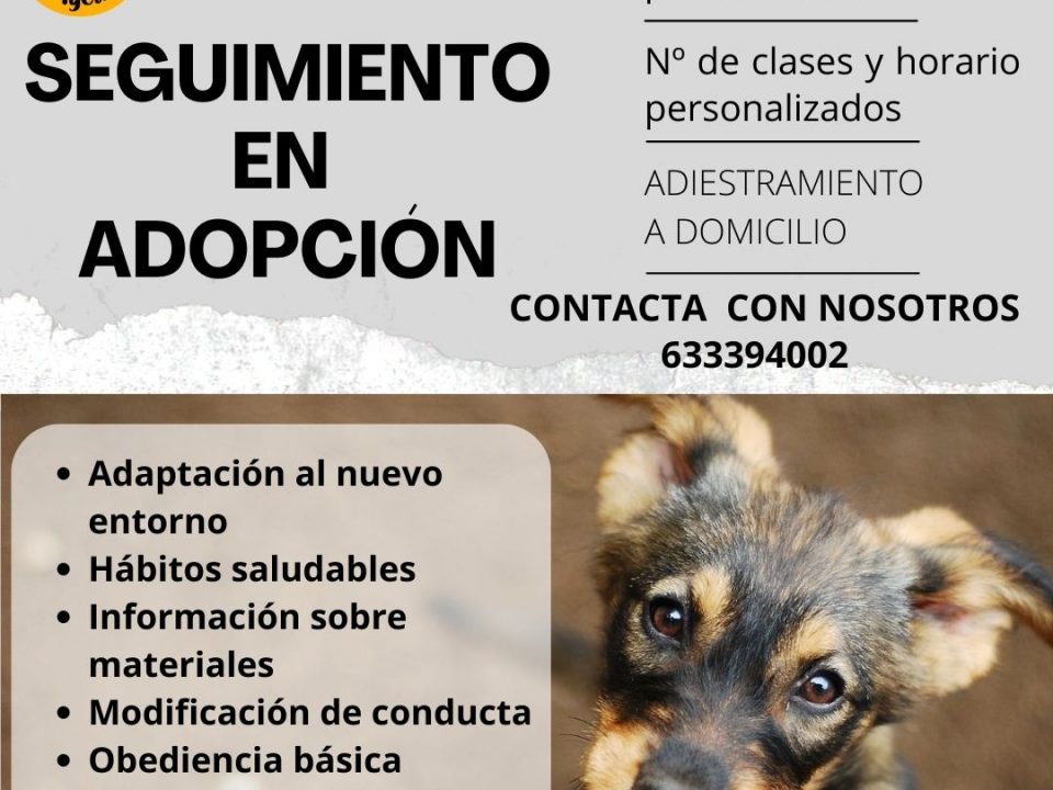 Cartel de seguimiento en adopción