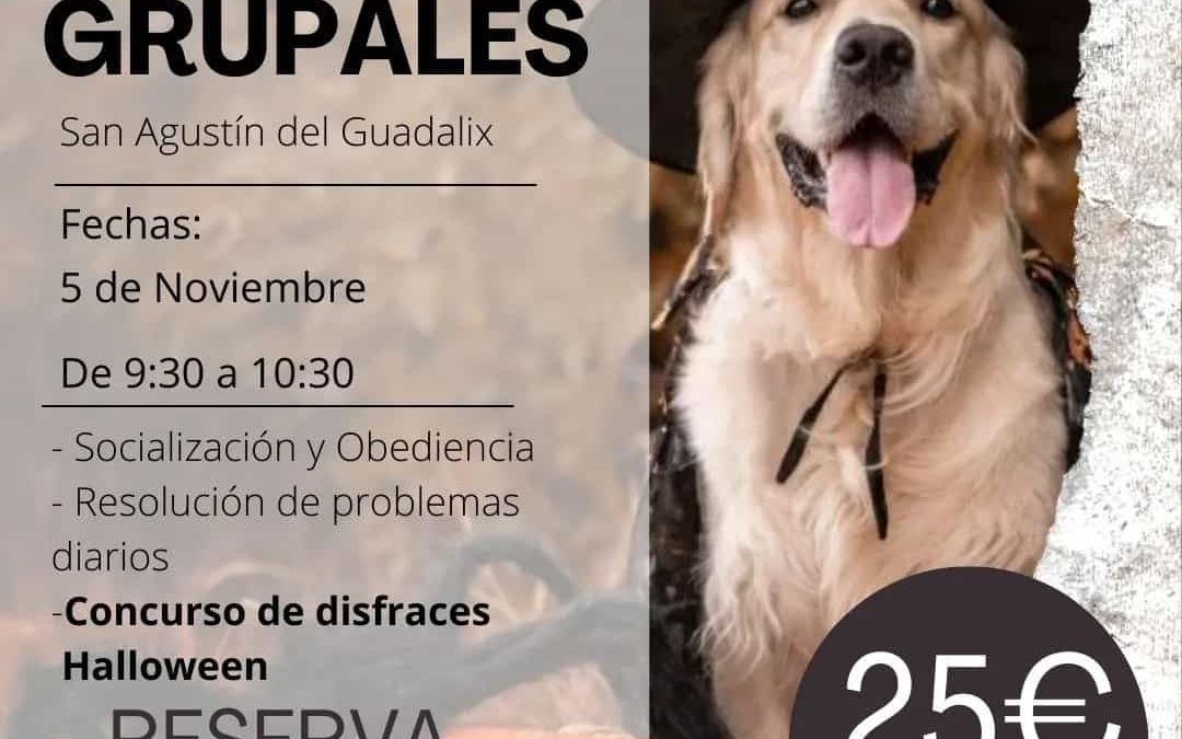 Cartel clases noviembre