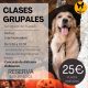 Cartel clases noviembre