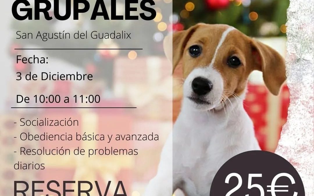 Cartel info clases grupales diciembre