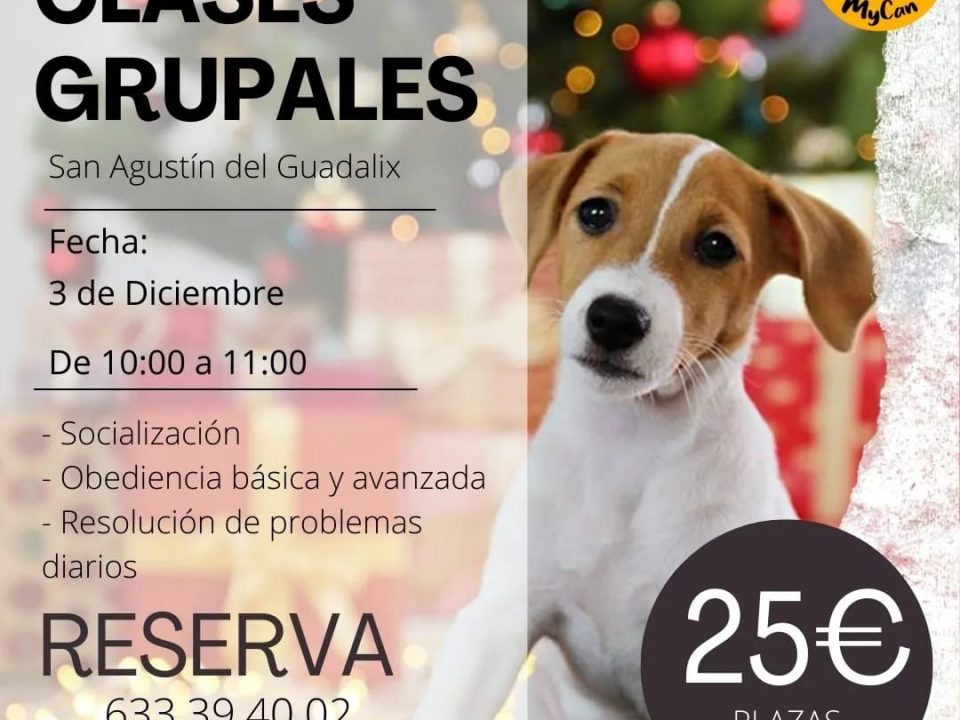 Cartel info clases grupales diciembre