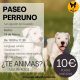 Cartel con la info del paseo canino 18 marzo 23