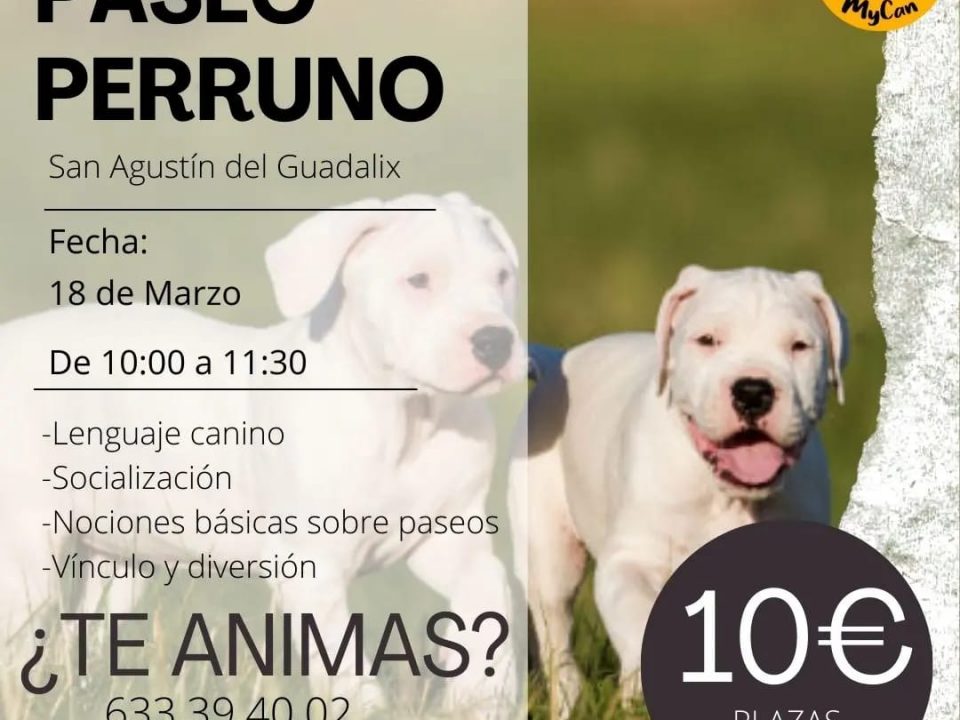 Cartel con la info del paseo canino 18 marzo 23