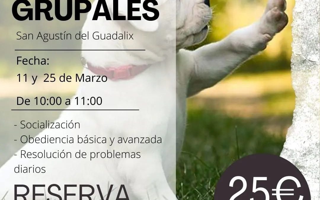 Cartel con la info de las clases grupales de marzo