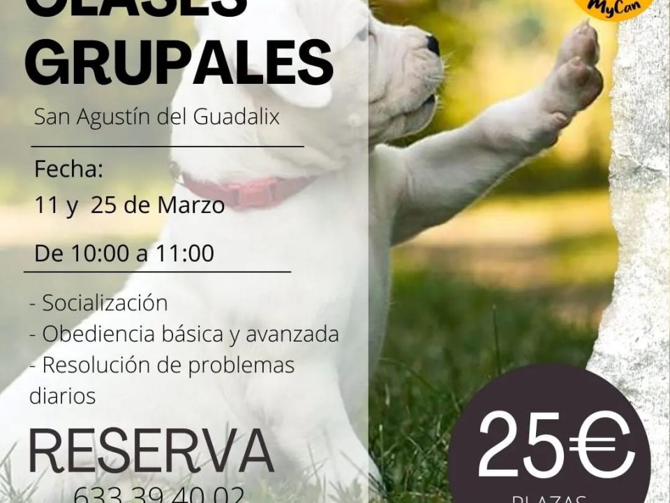 Cartel con la info de las clases grupales de marzo